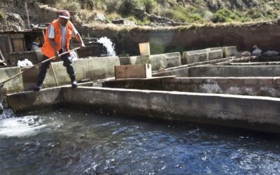 Productores de truchas de Oyón obtienen fondos concursables del Estado Peruano con el apoyo técnico de Buenaventura